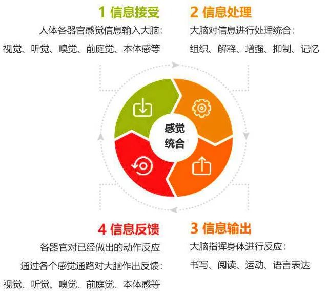 如何帮助篮球老将保持竞技状态_0